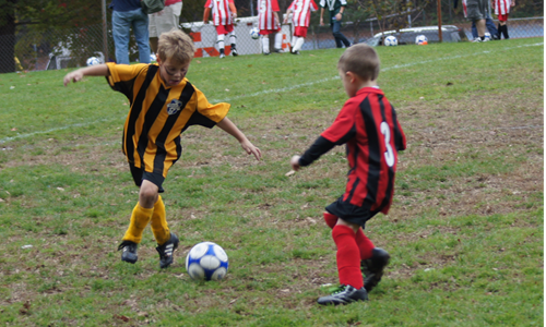Recreation League 1/2 Division